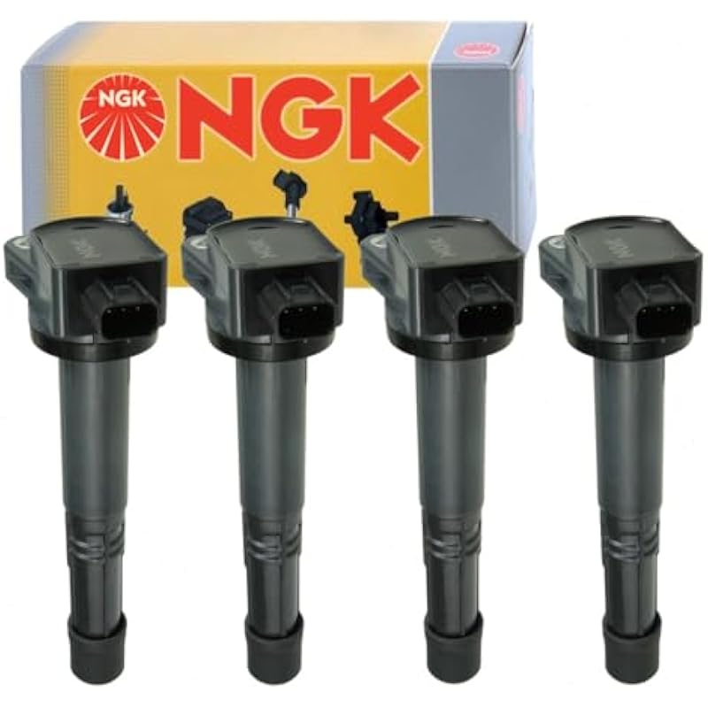 41m4gqotgpl. ac us800 .jpg