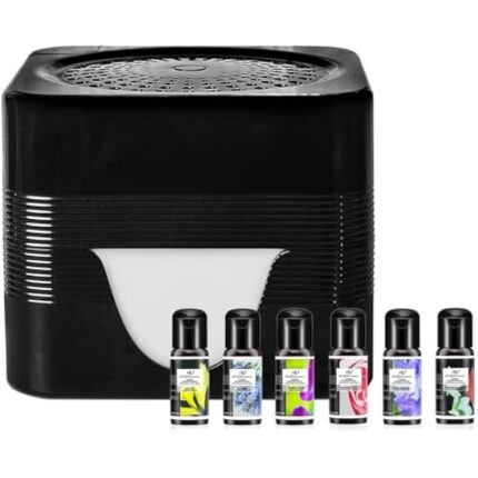 41mnbsevlyl. ac us800 .jpg