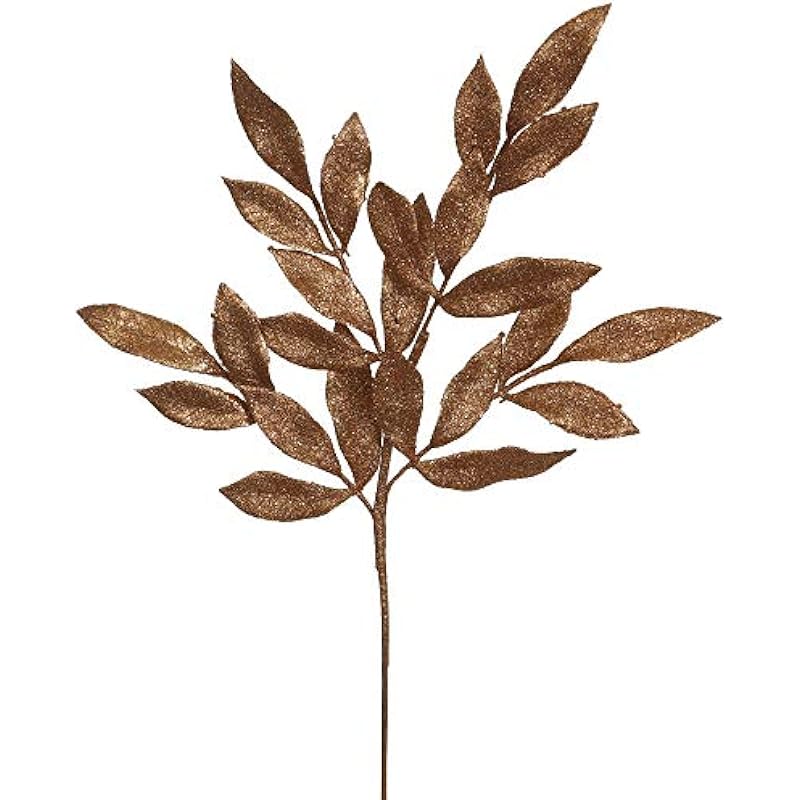 41mjy3z31l. ac us800 .jpg