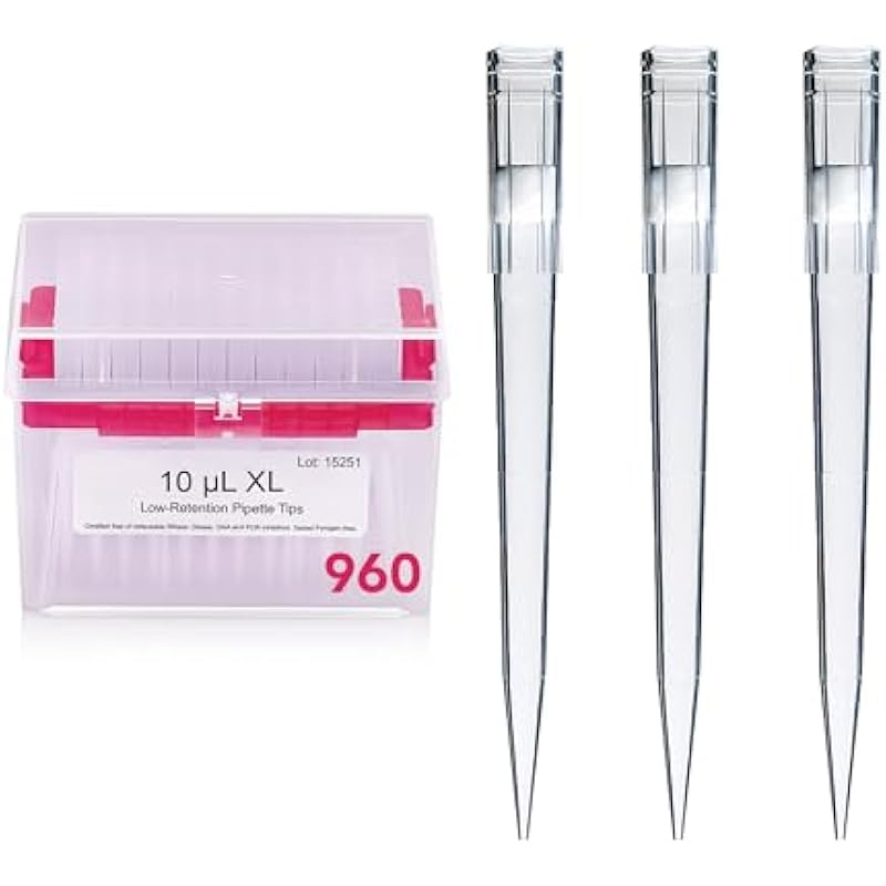 41mmjfxktpl. ac us800 .jpg