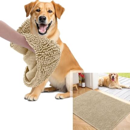 41mswxhv8nl. ac us800 .jpg