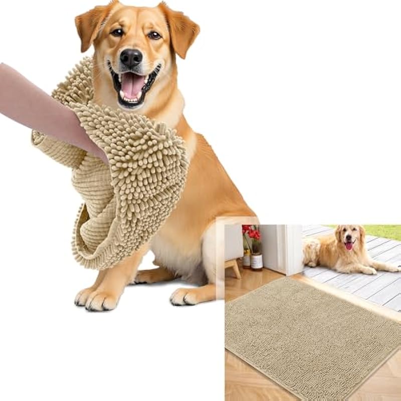 41mswxhv8nl. ac us800 .jpg