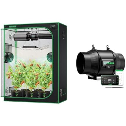 41n64mqmmcl. ac us800 .jpg