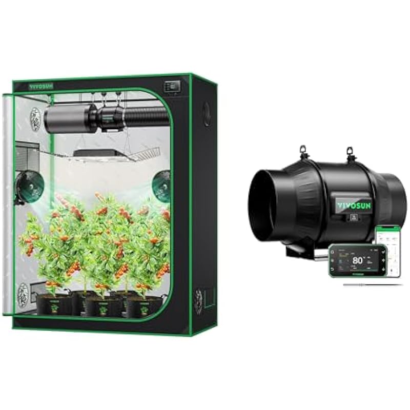 41n64mqmmcl. ac us800 .jpg