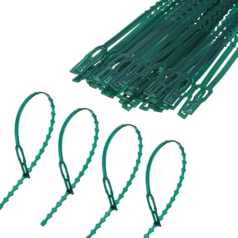 41nhcx nljl. ac us800 .jpg