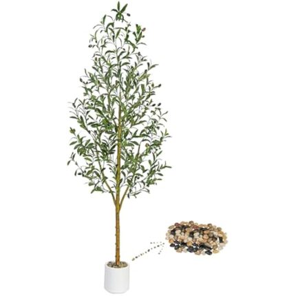 41nh40uvl8l. ac us800 .jpg