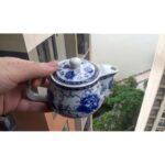 41pck1 ipnl. ac us800 .jpg