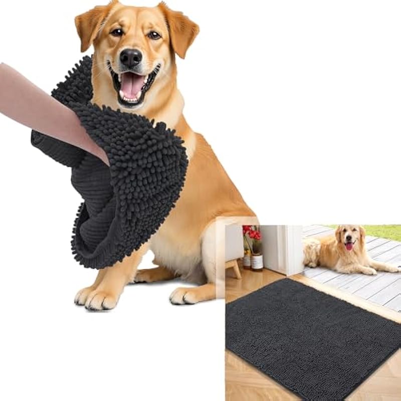 41qi6boflrl. ac us800 .jpg