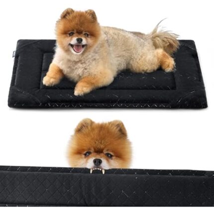 41qb62jdejl. ac us800 .jpg