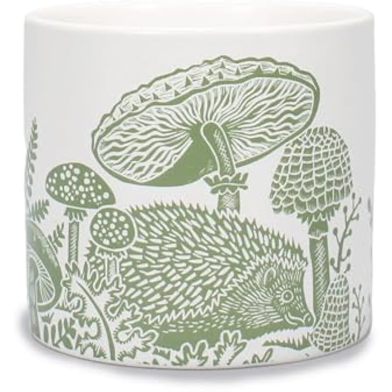 41rgu07rgzl. ac us800 .jpg