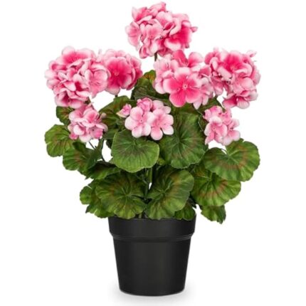 41rkr1t xyl. ac us800 .jpg