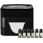 41rxychqql. ac us800 .jpg