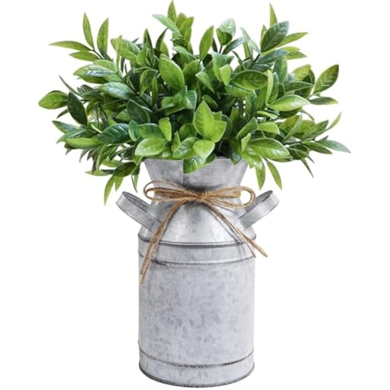 41s 7gelpll. ac us800 .jpg