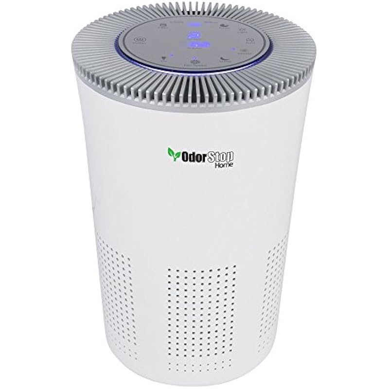 41snwgpbkyl. ac us800 .jpg