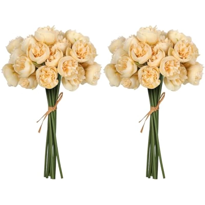 41spig6k3tl. ac us800 .jpg