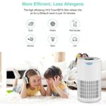 41tg6nidv3l. ac us800 .jpg