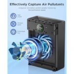 41tp79pp2xl. ac us800 .jpg