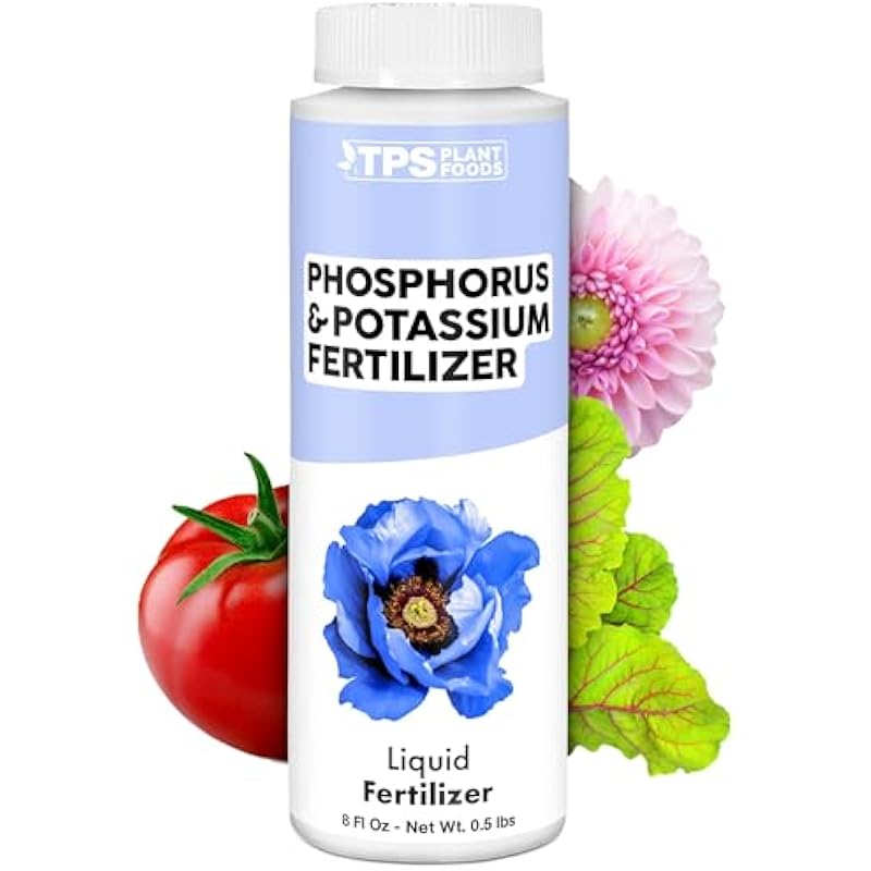 41u3elzrrol. ac us800 .jpg