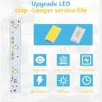 41upo9jyw7l. ac us800 .jpg