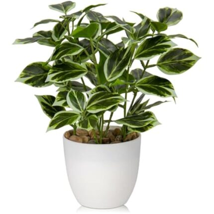 41v4deswlsl. ac us800 .jpg