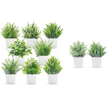 41v5j4owudl. ac us800 .jpg