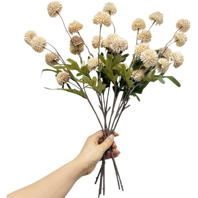 41vjqgdfxkl. ac us800 .jpg