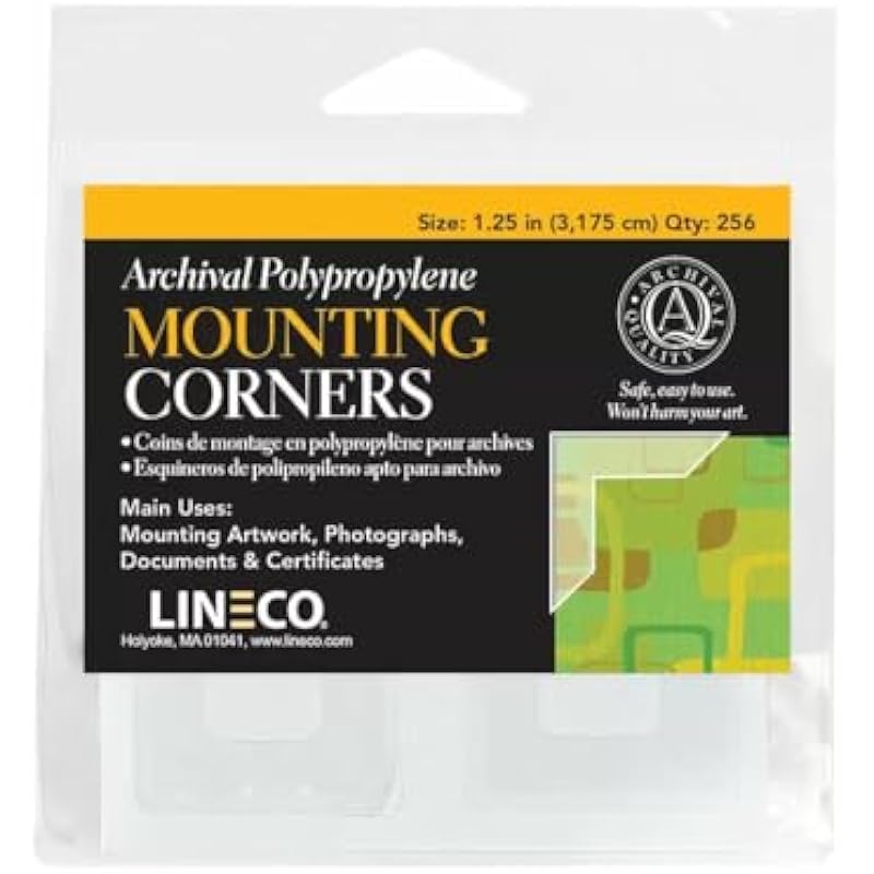 41wk0dc3rsl. ac us800 .jpg