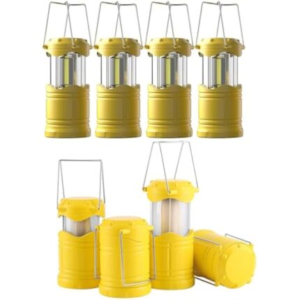 41wsvhc01sl. ac us800 .jpg