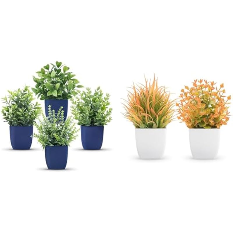 41wkfsoqfkl. ac us800 .jpg