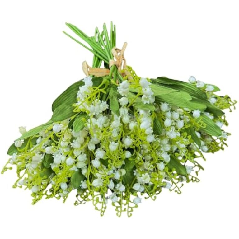 41wtitev5nl. ac us800 .jpg