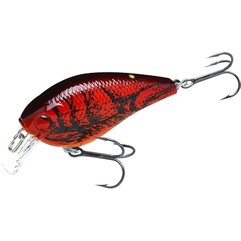 41xpikntqil. ac us800 .jpg