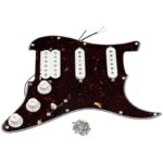 41xr6cjpmml. ac us800 .jpg