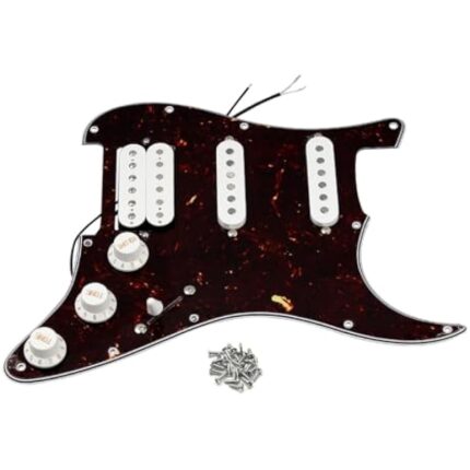 41xr6cjpmml. ac us800 .jpg