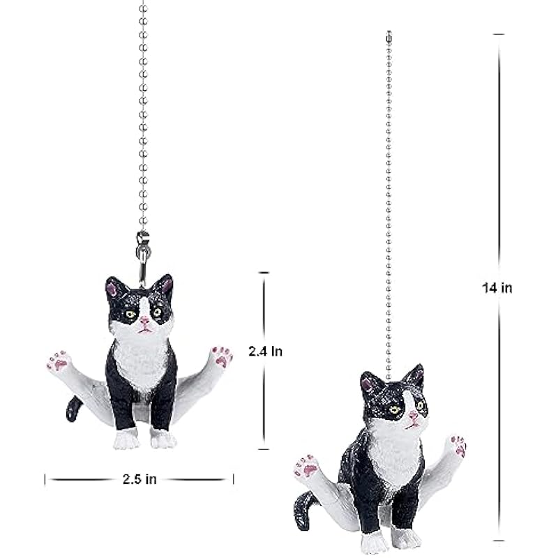 41xt mvd9fl. ac us800 .jpg