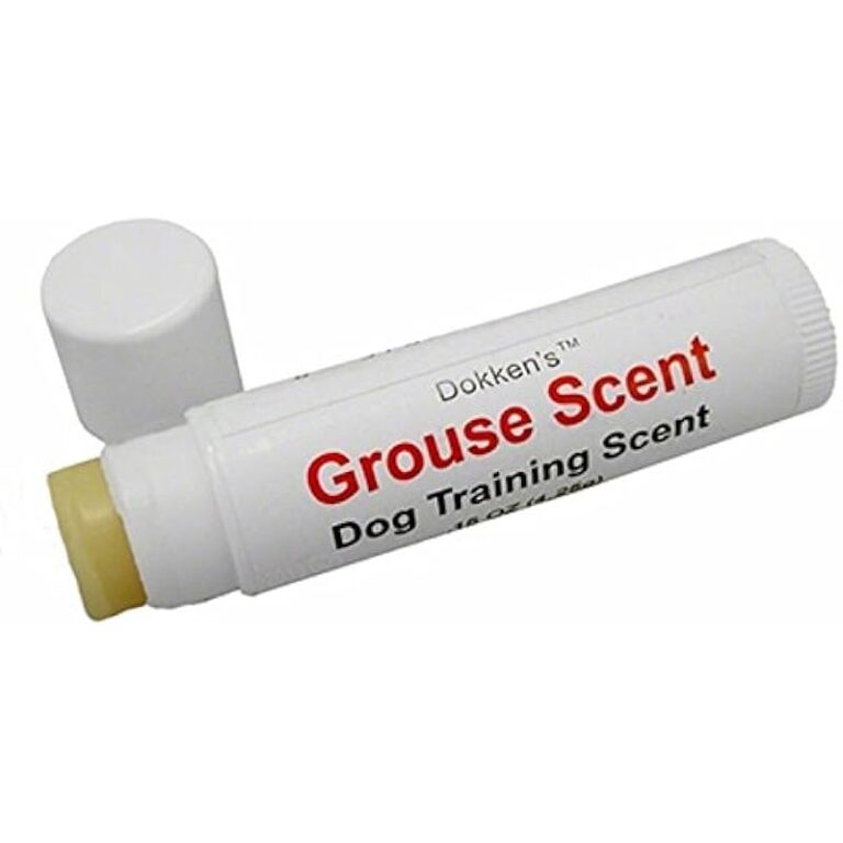 41xzfaguvbl. ac us800 .jpg