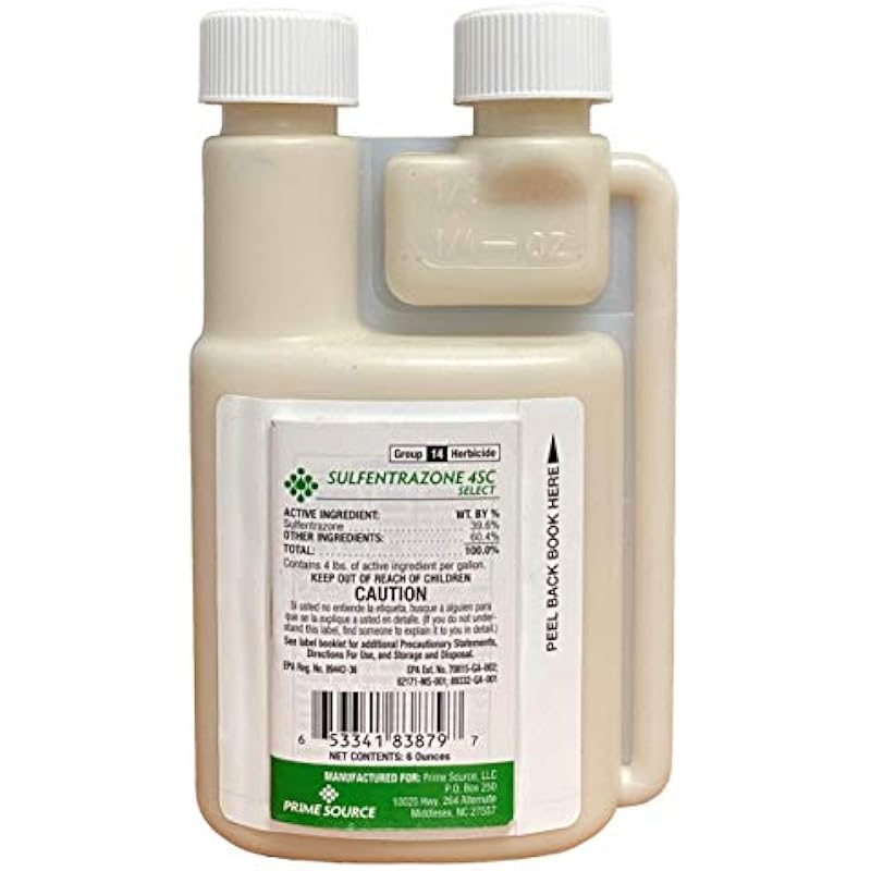 41yqnmm9bul. ac us800 .jpg