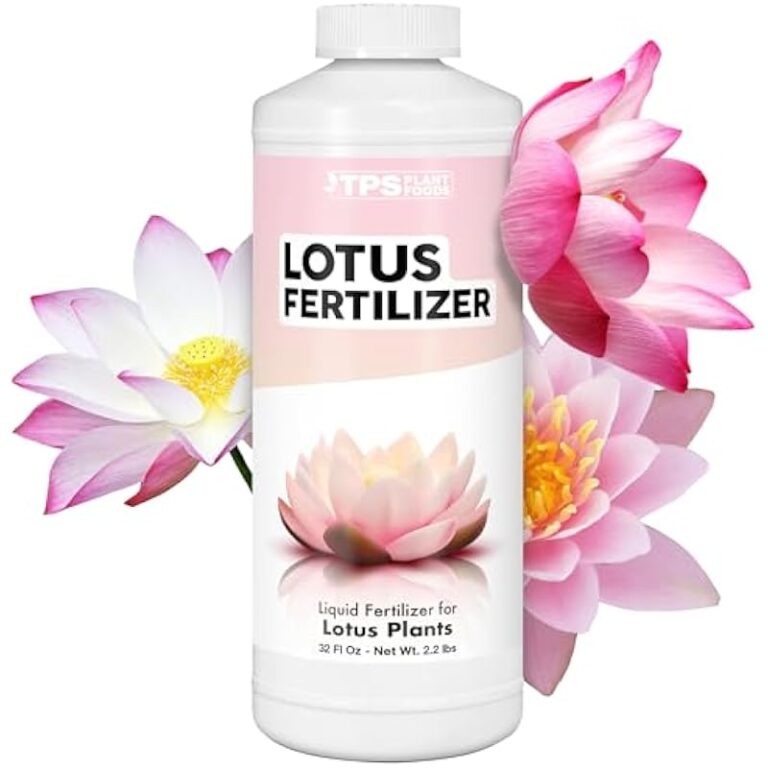 41yymwhdaol. ac us800 .jpg