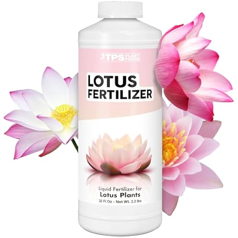 41yymwhdaol. ac us800 .jpg