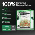 511djfxe4l. ac us800 .jpg