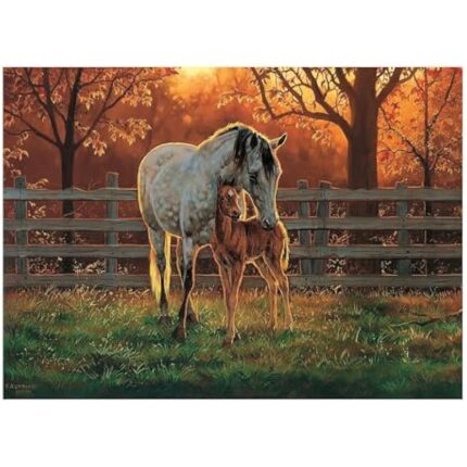 512smg6fral. ac us800 .jpg