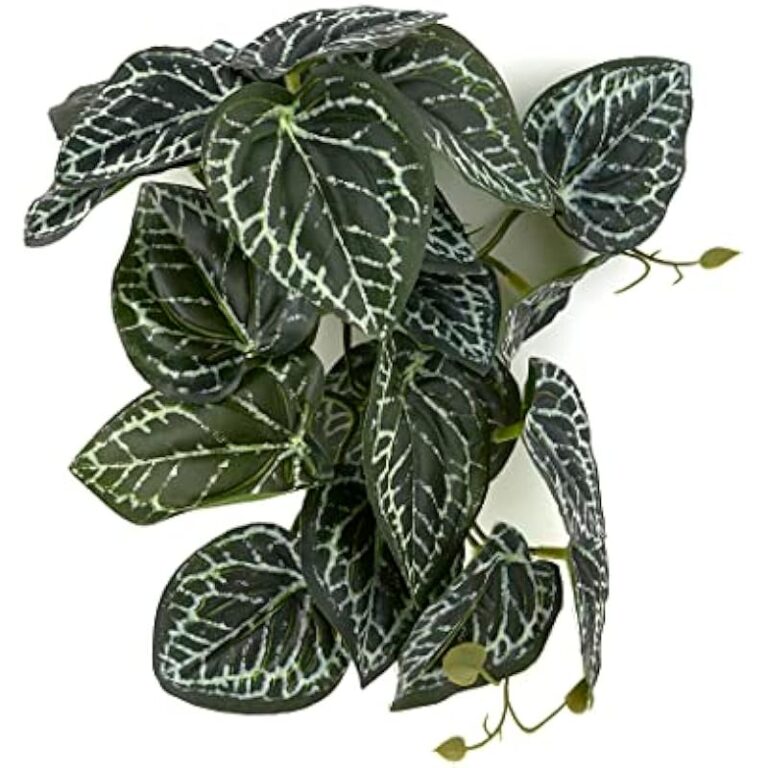 512xitancbl. ac us800 .jpg