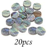 513bmbeevil. ac us800 .jpg