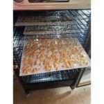 5140jbxhzl. ac us800 .jpg