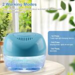 514uirpzwql. ac us800 .jpg