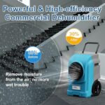 5153xegytkl. ac us800 .jpg