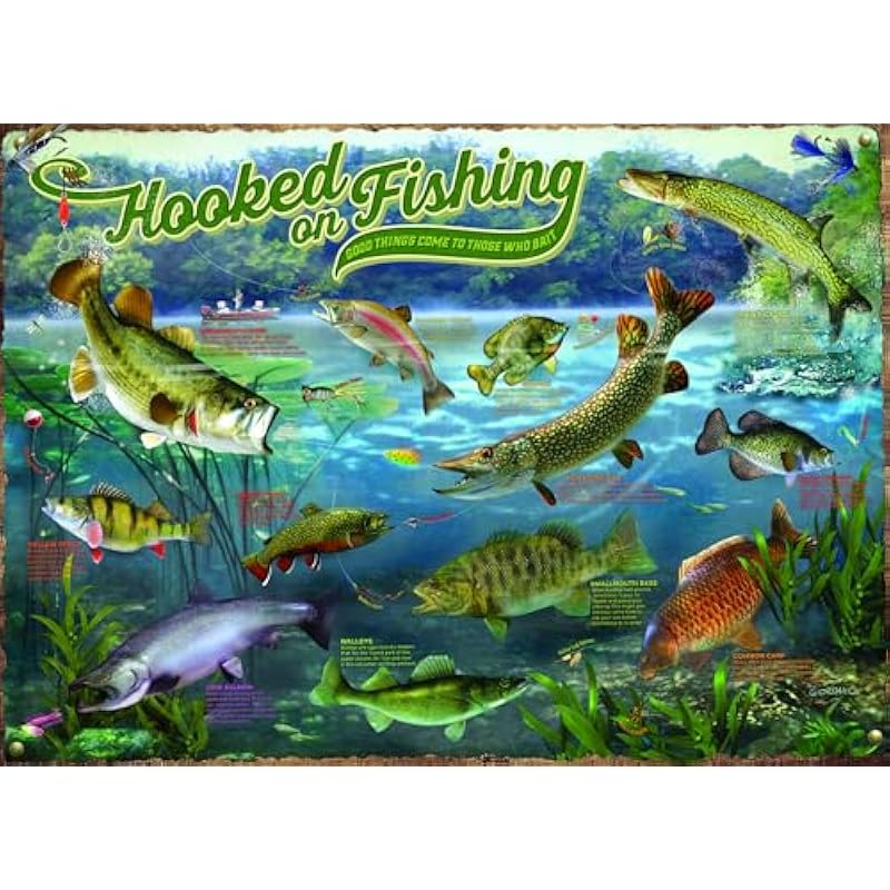 515f4wsqacl. ac us800 .jpg