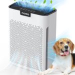 516ujkuzrnl. ac us800 .jpg