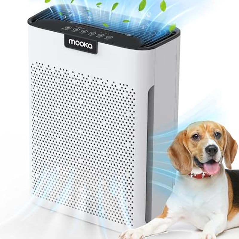 516ujkuzrnl. ac us800 .jpg