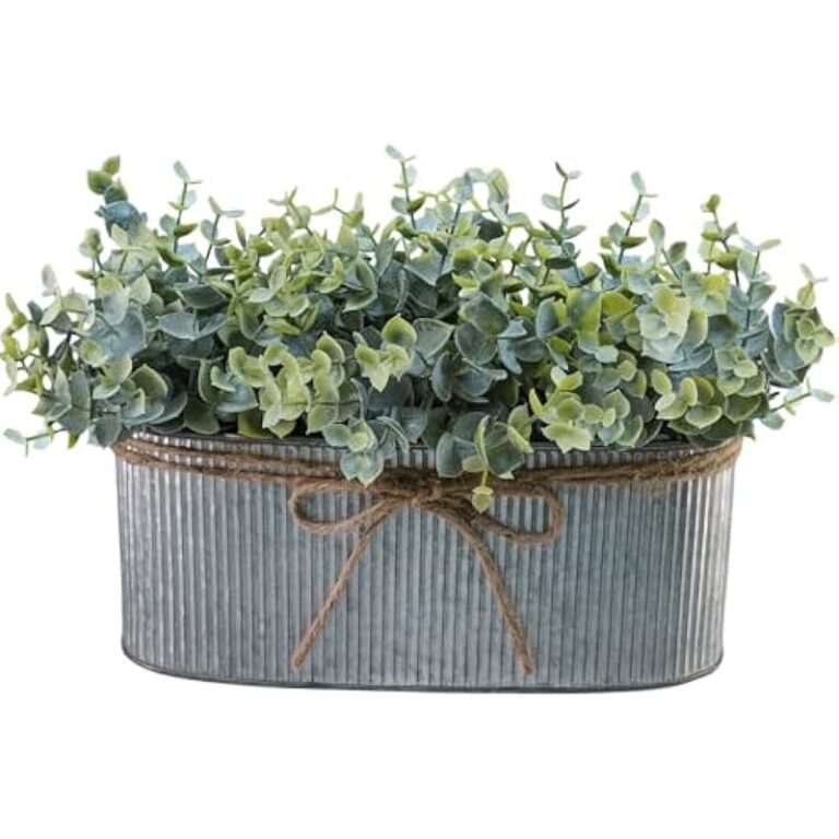 517e3oqdk4l. ac us800 .jpg