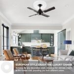 5182or63j6l. ac us800 .jpg